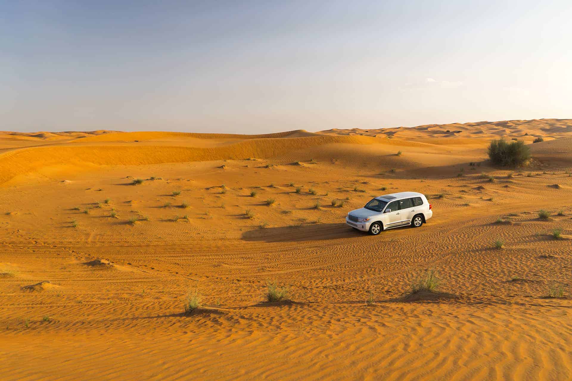 safari desert dubai