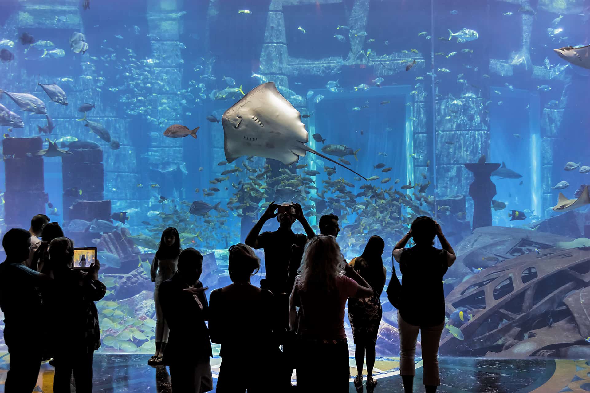 atlantis the palm the lost chambers