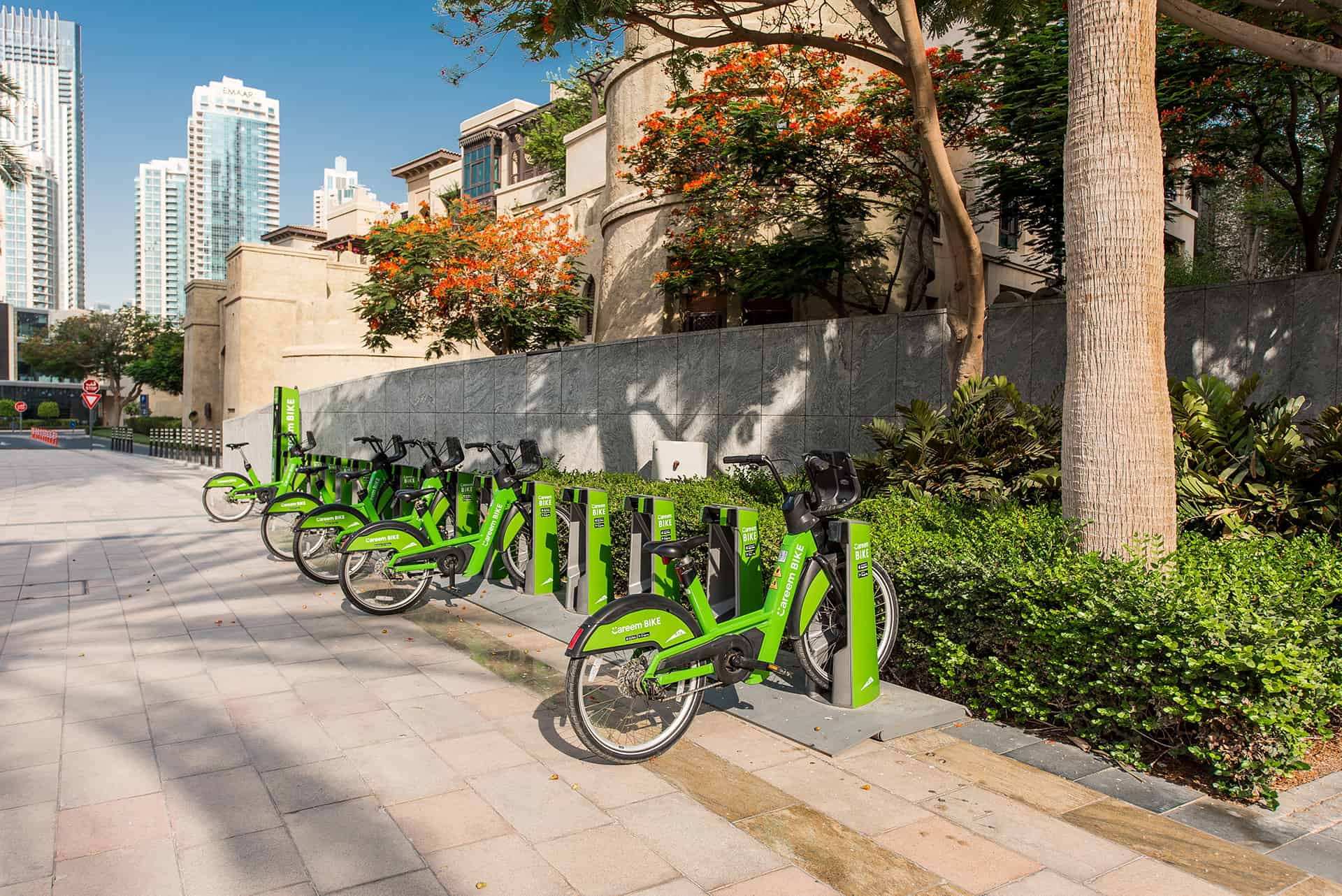 velo dubai