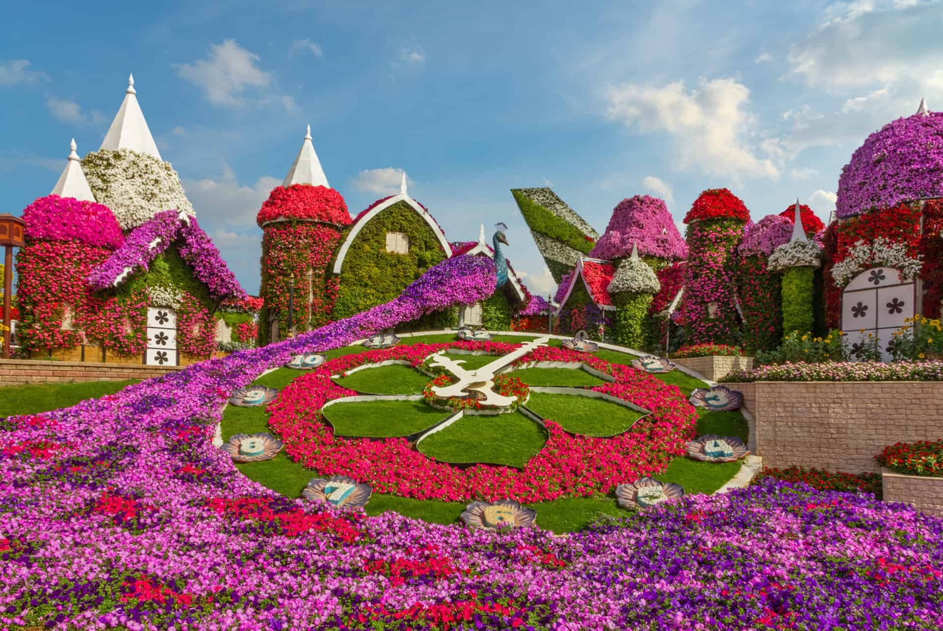 Le Miracle Garden à Dubaï
