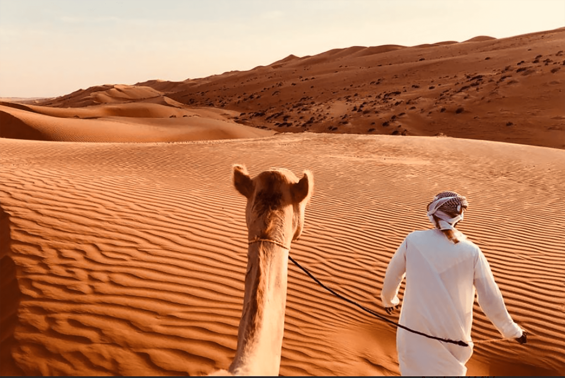 safari dubai
