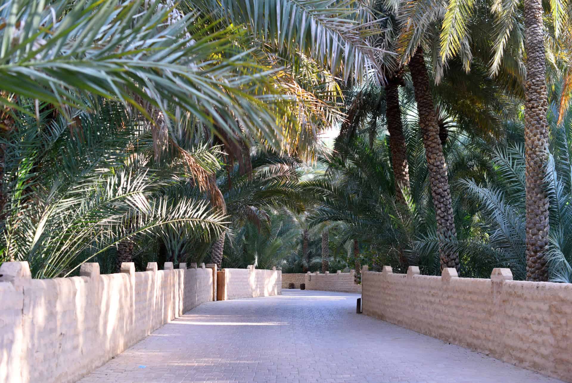 Visiter Al Ain
