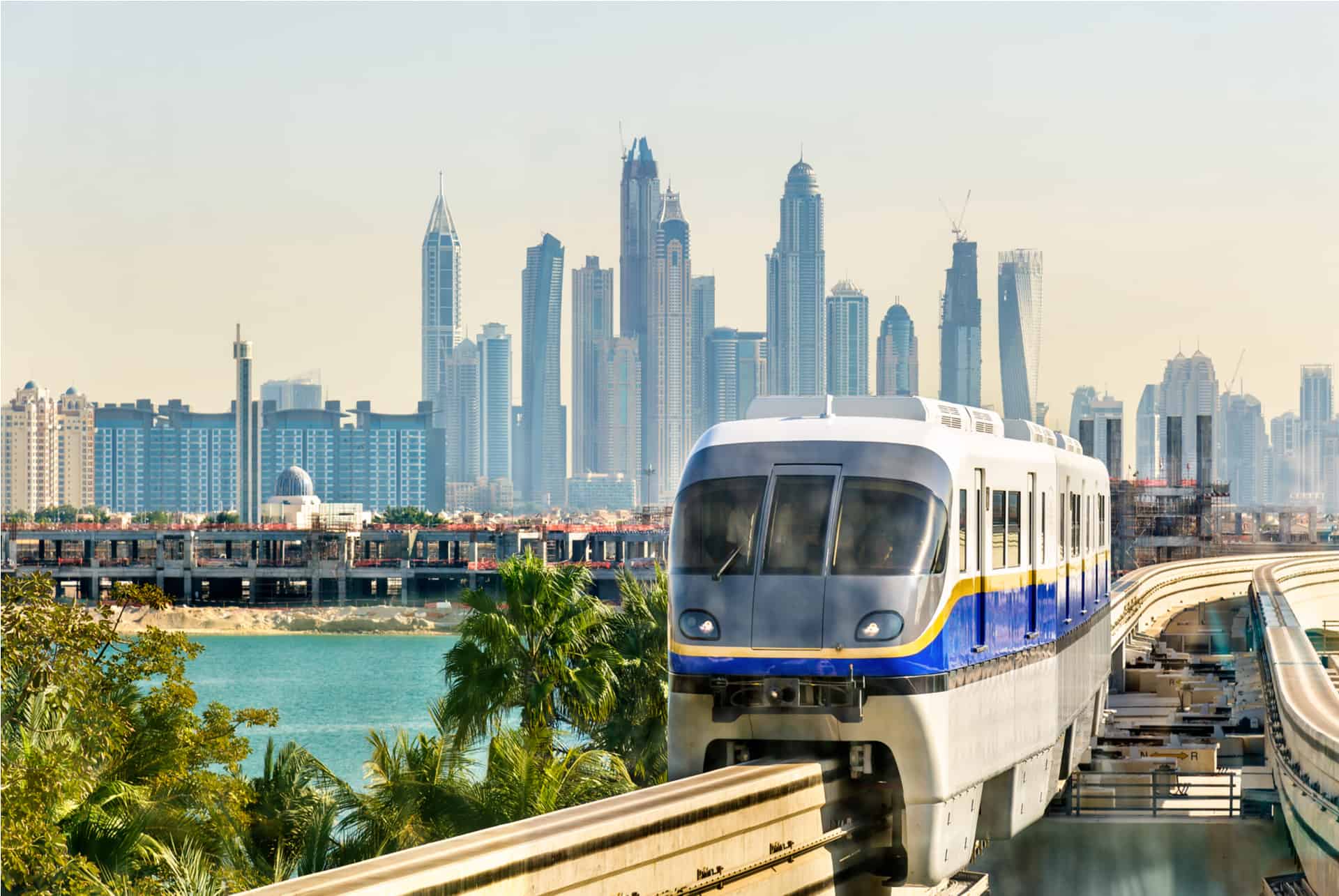 palm monorail