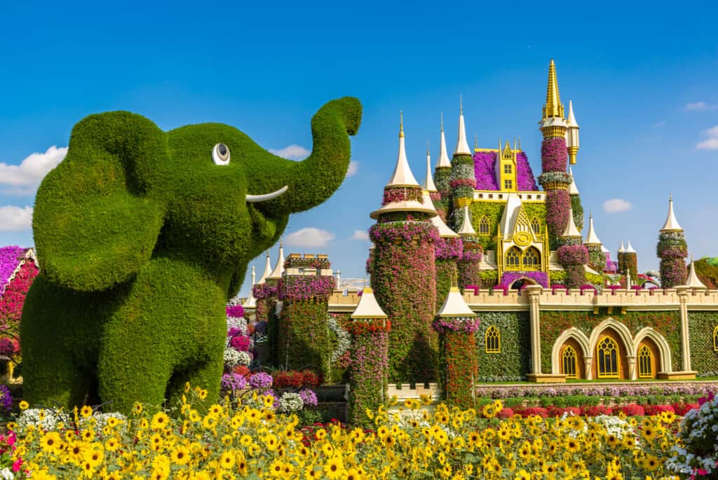 Dubai Miracle Garden : Billet d'entrée