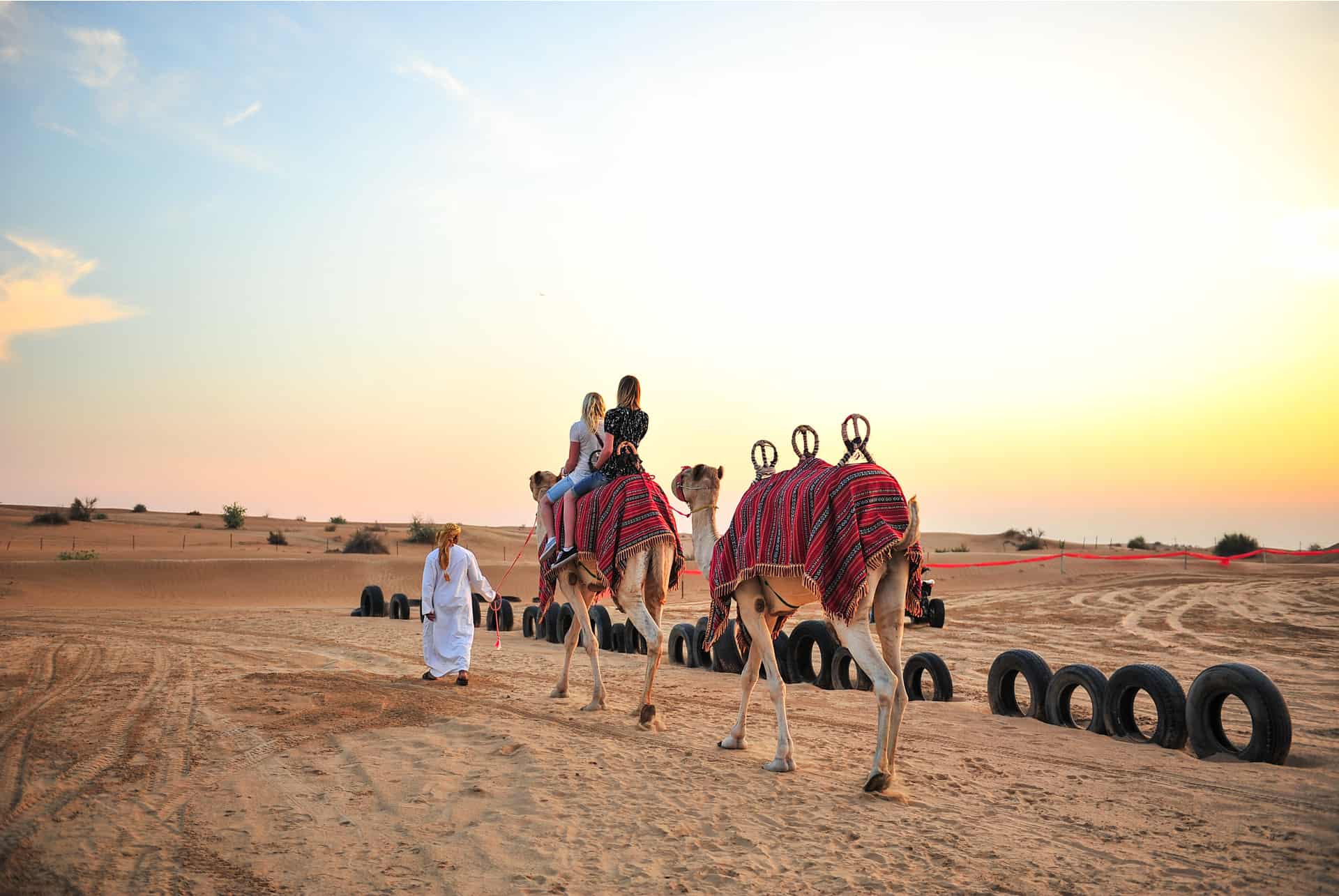 chameau dubai