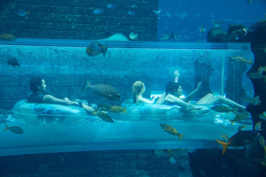 escale dubai aquaventure waterpark escale dubai aquaventure waterpark