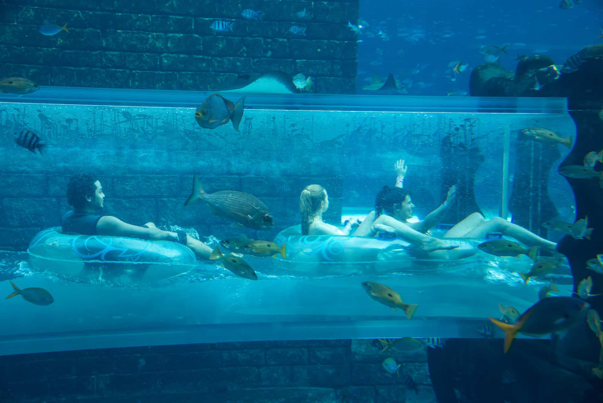 dubai aquaventure atlantis the palm