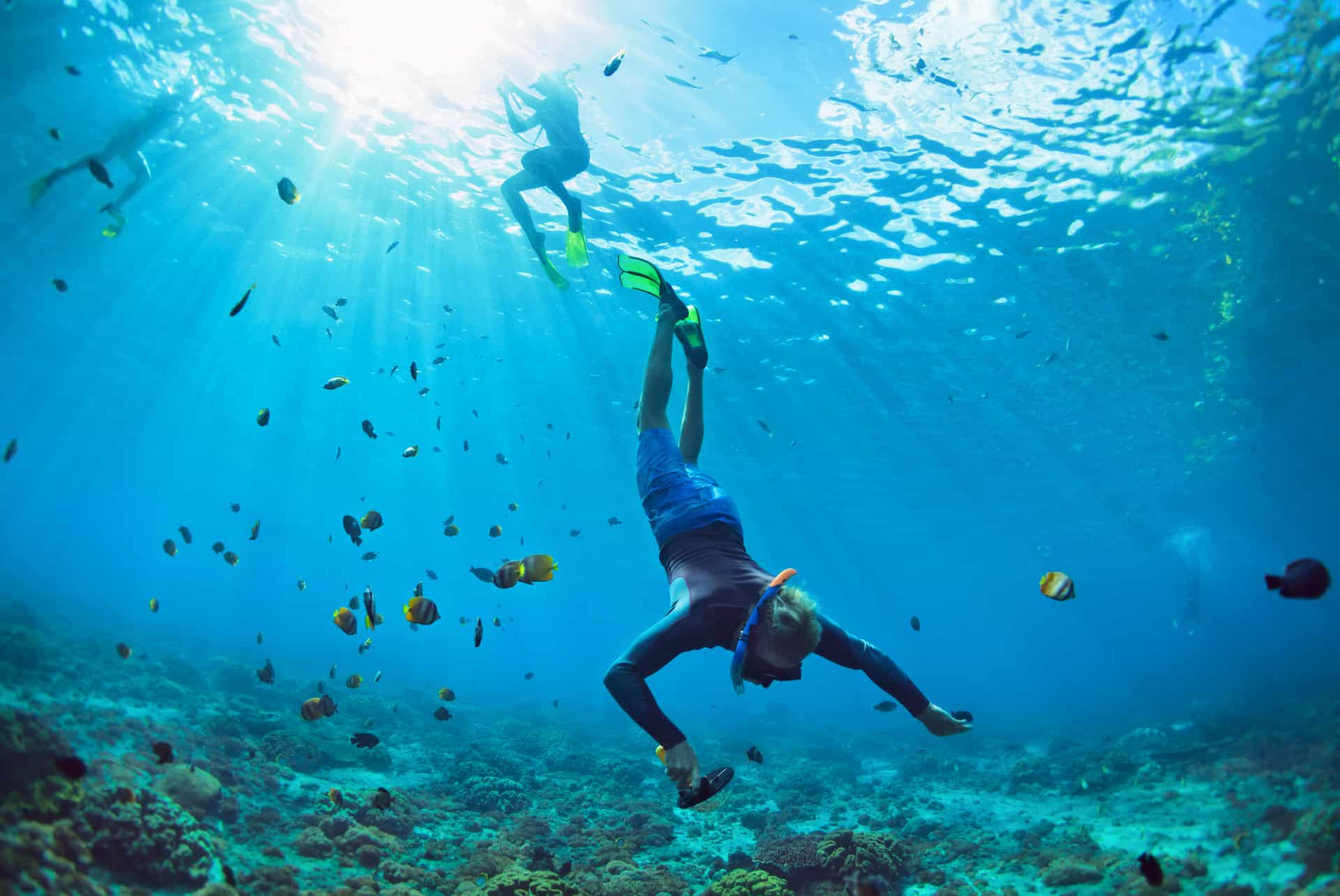 snorkeling dubai
