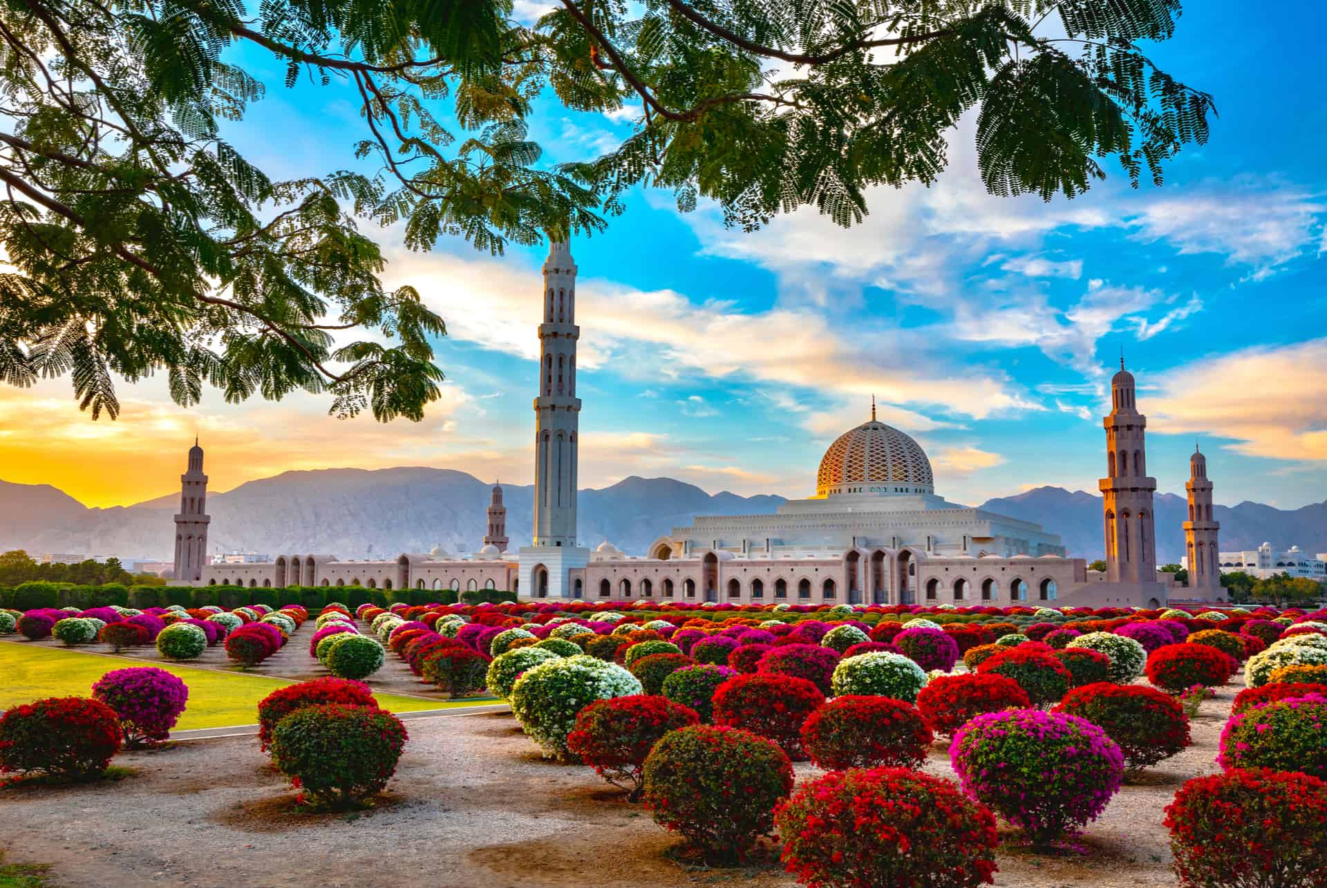 Oman depuis Dubaï