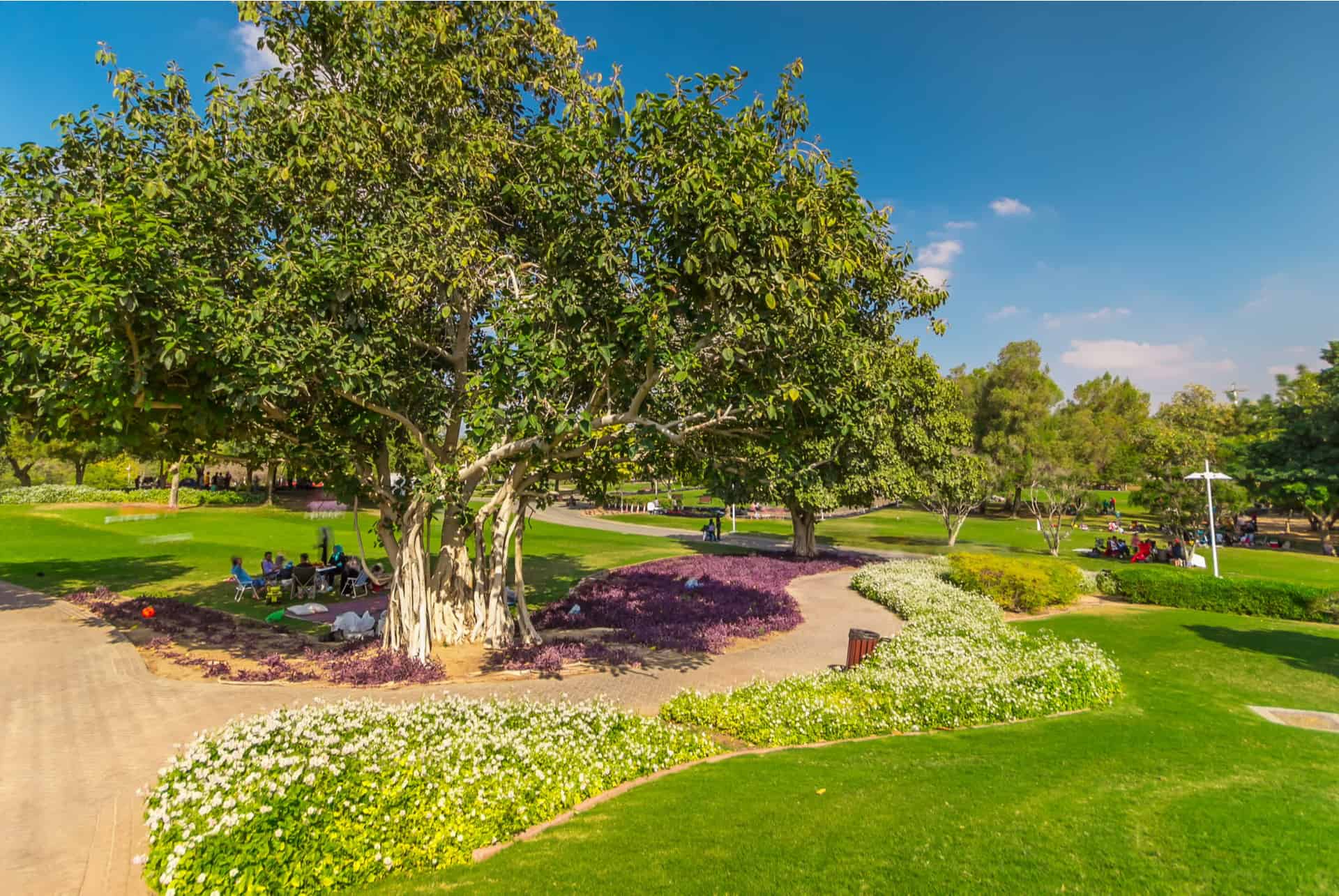 Creek Park de Dubaï