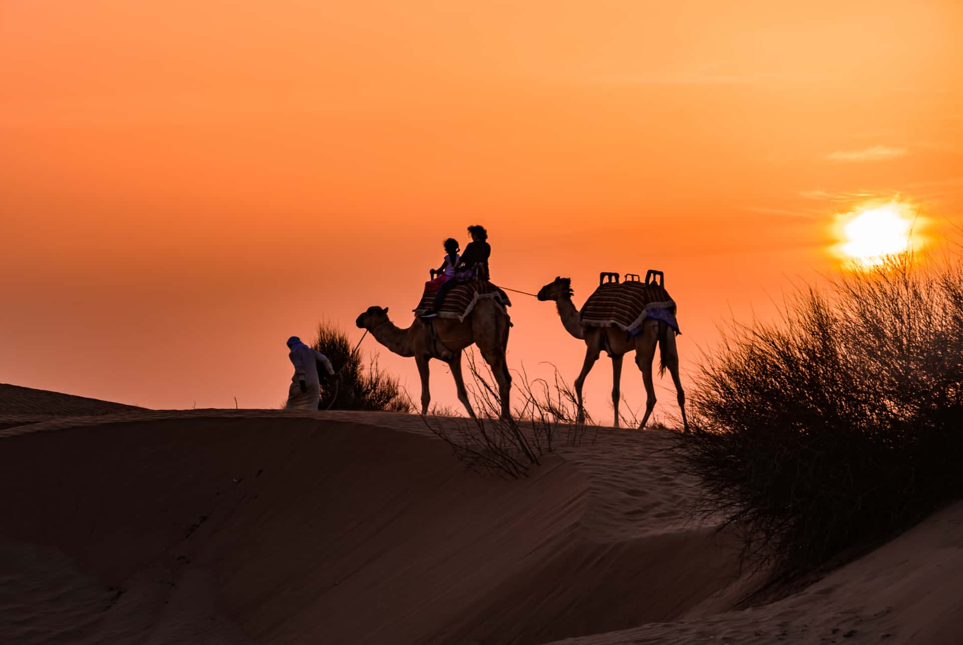 excursion desert dubai