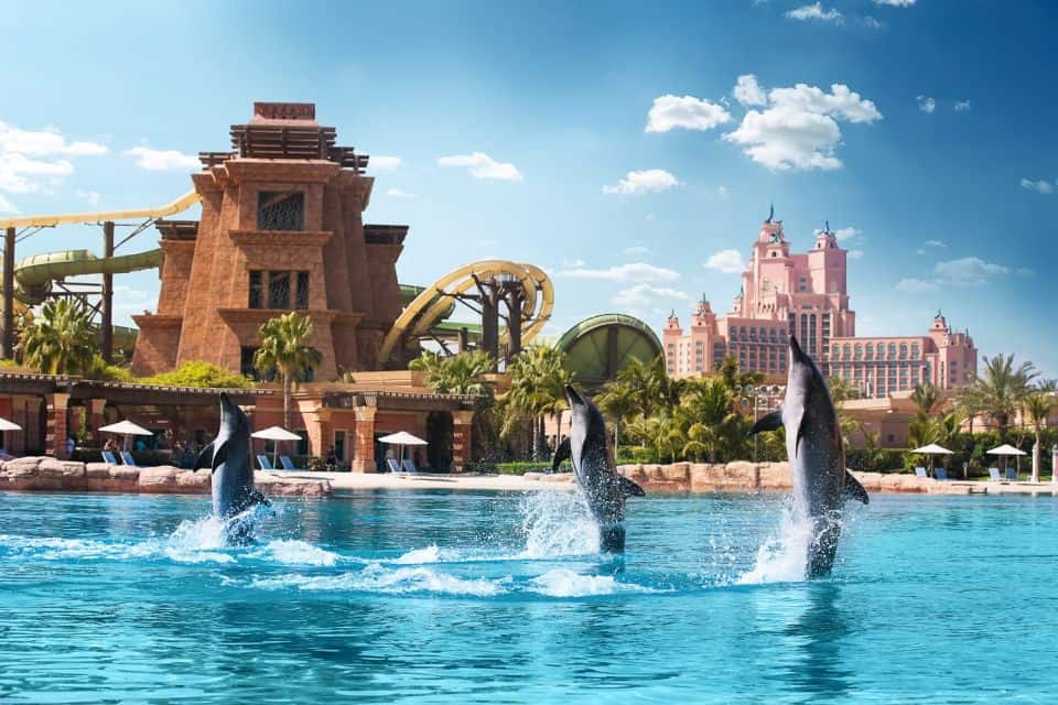 atlantis dolphin bay