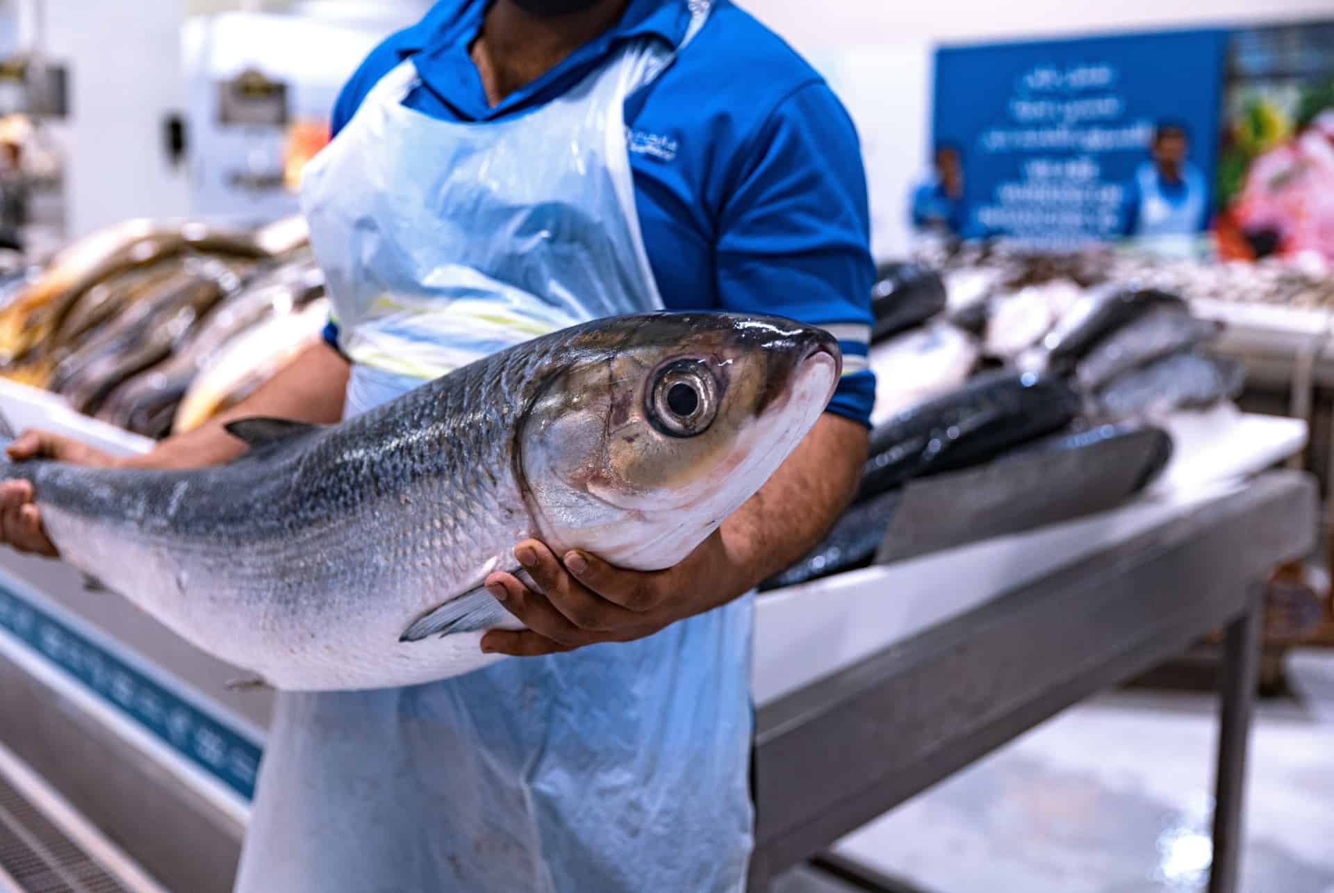 waterfront market