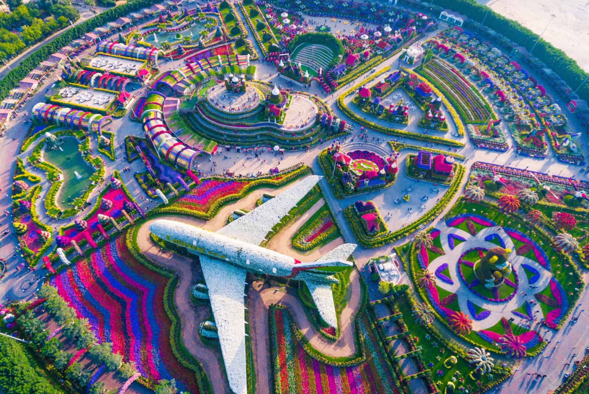dubai miracle garden vue du dessus dubai miracle garden vue du dessus