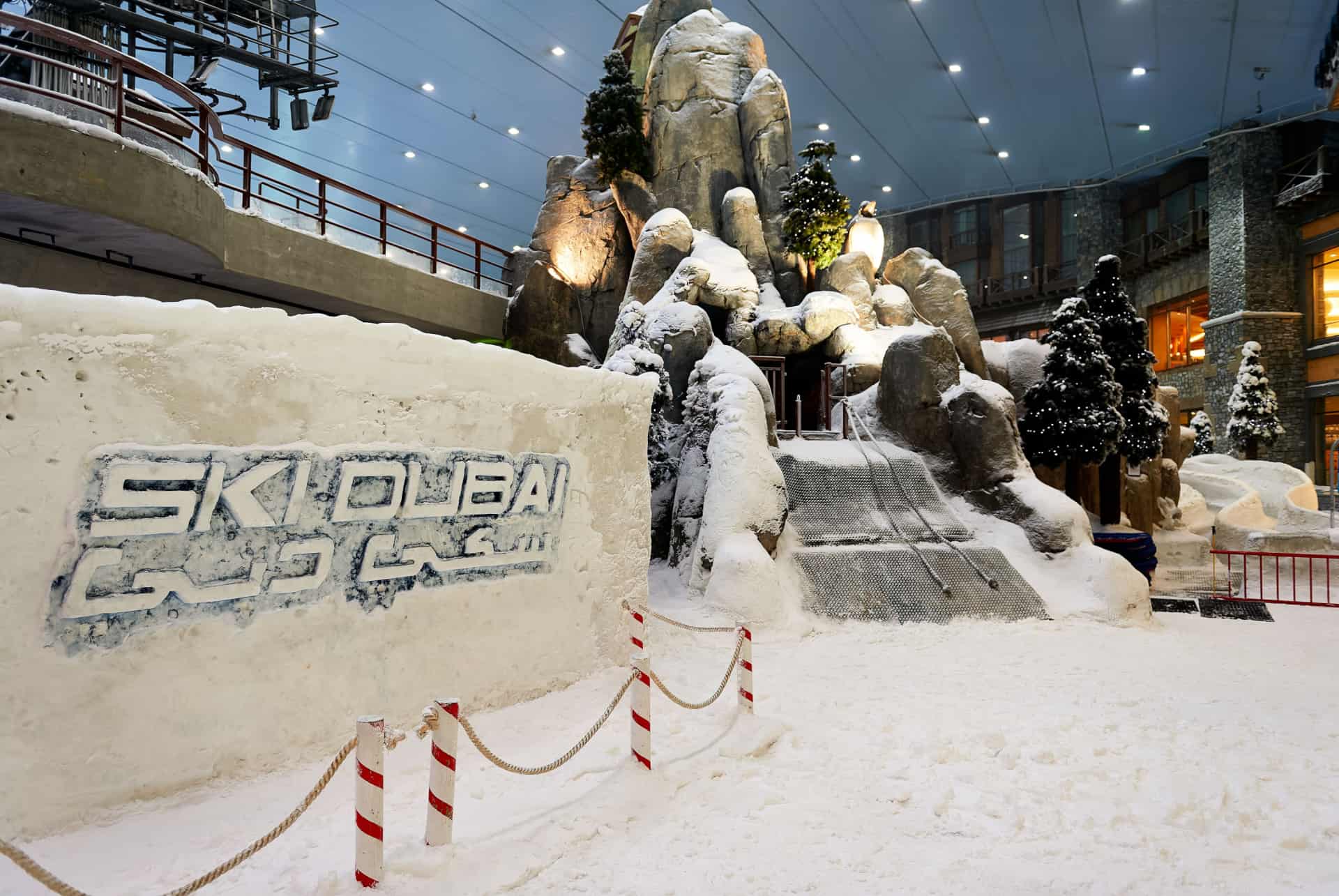 neige desert