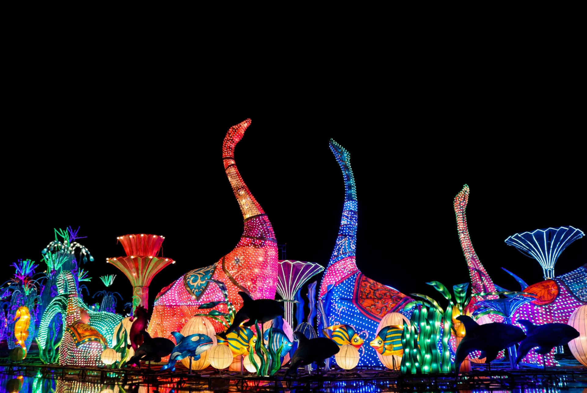 visiter dubai garden glow