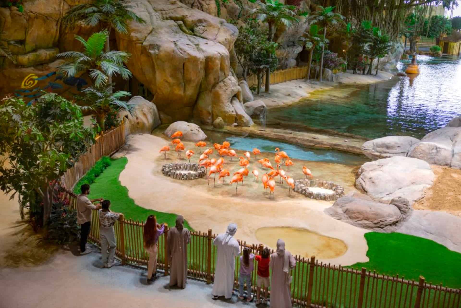 seaworld yas island
