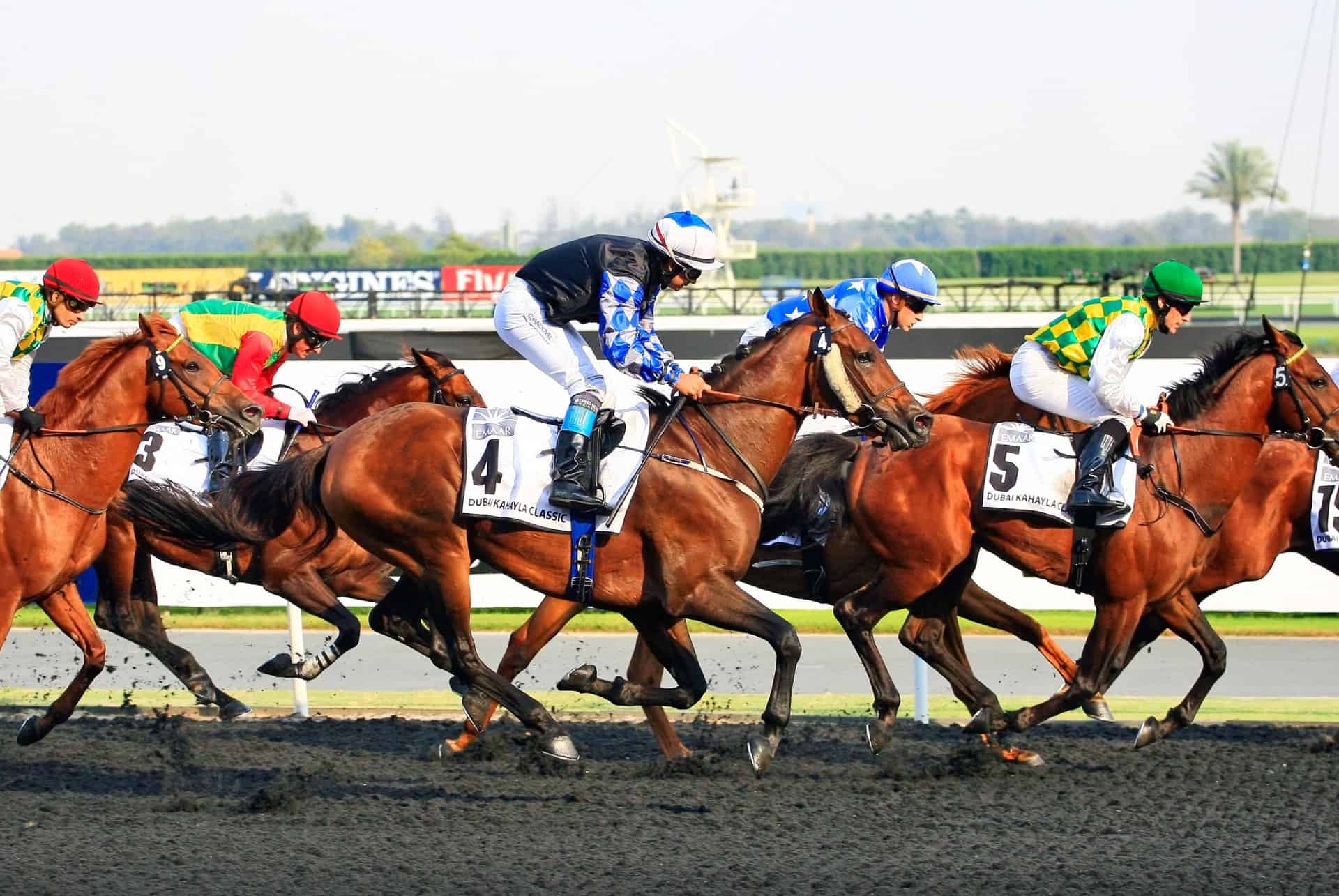 dubai en janvier world cup