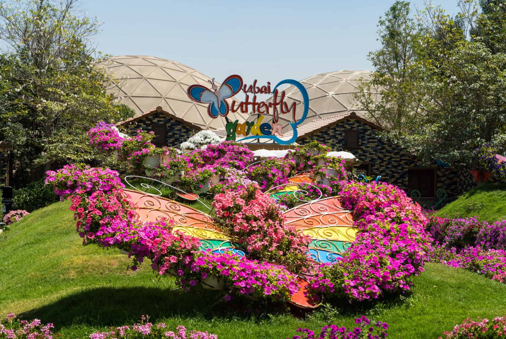 Butterfly Garden