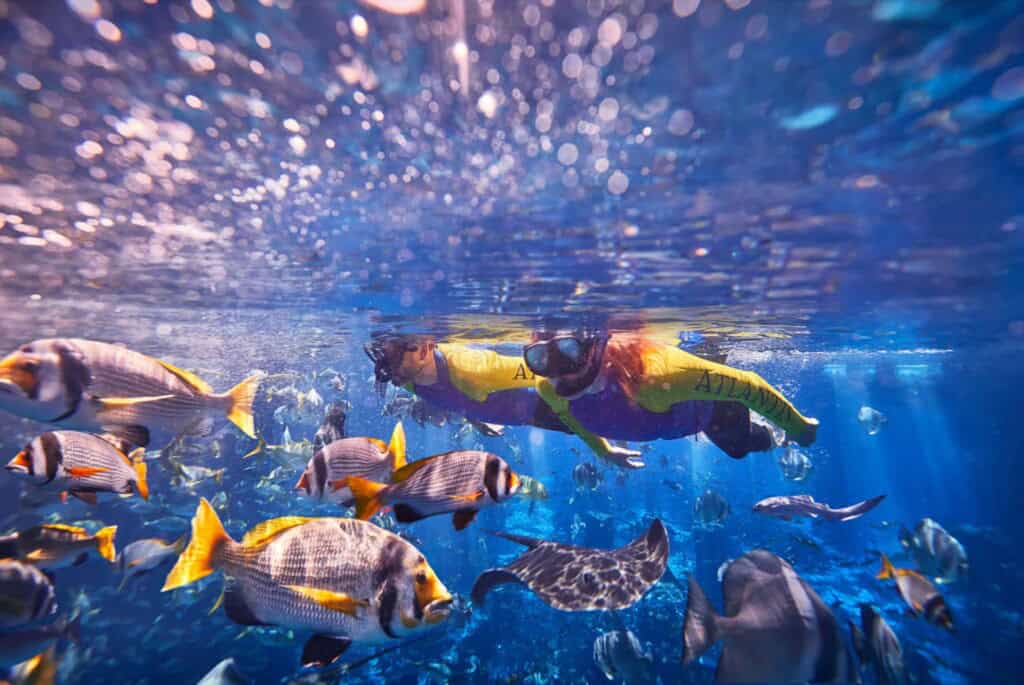 Expérience de snorkeling