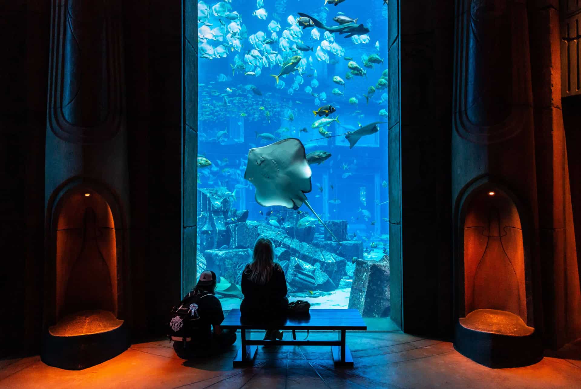 The Lost Chambers Aquarium