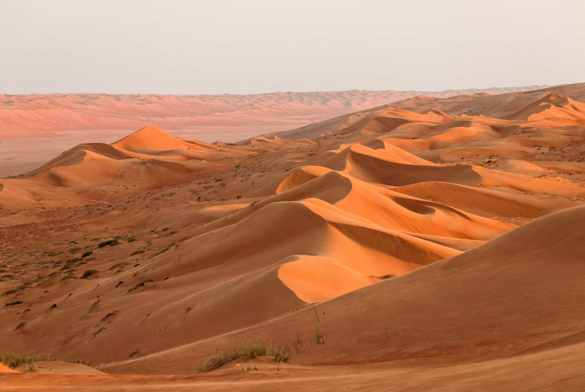 desert wahiba oman