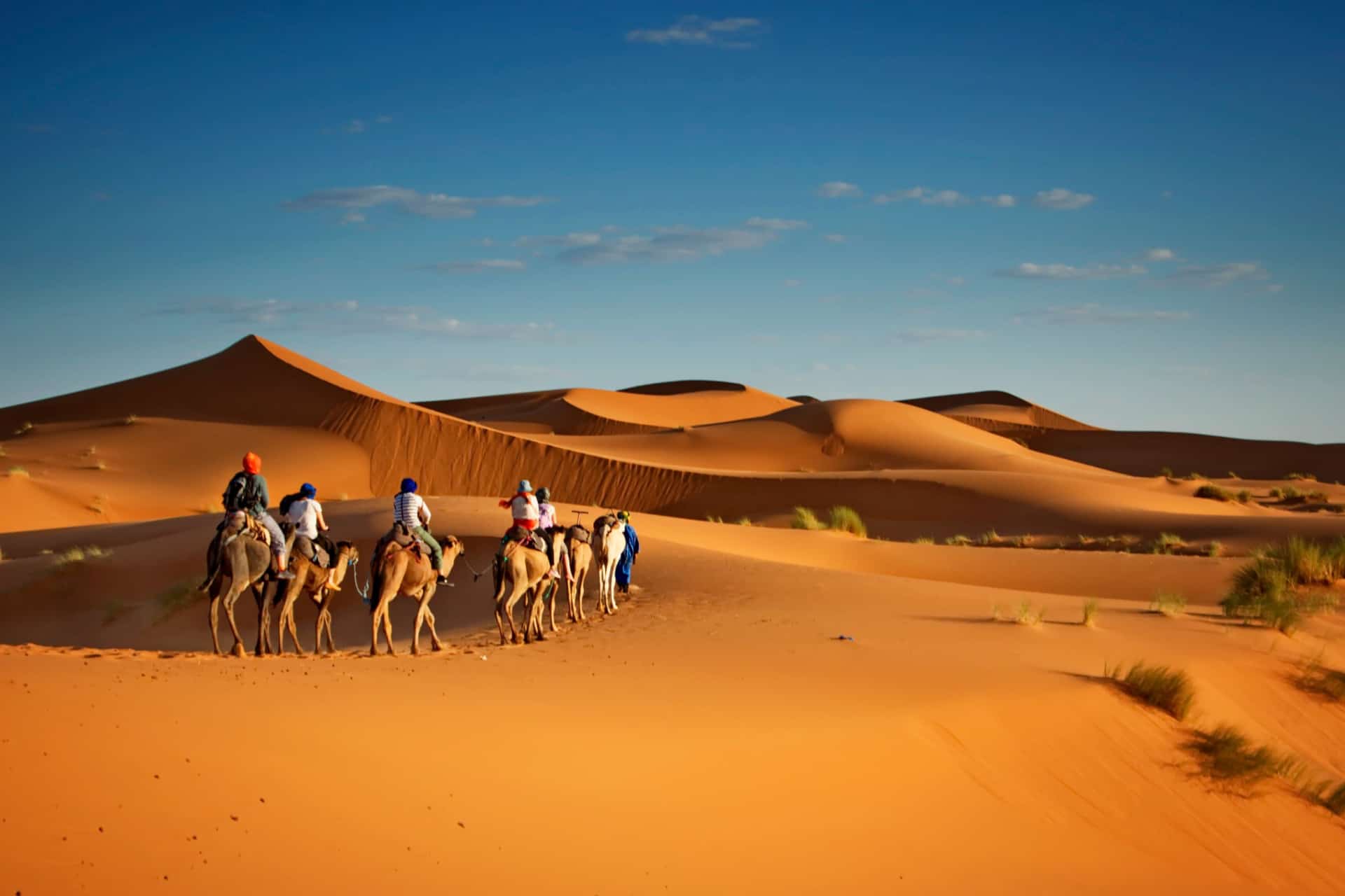 activites a faire a dubai