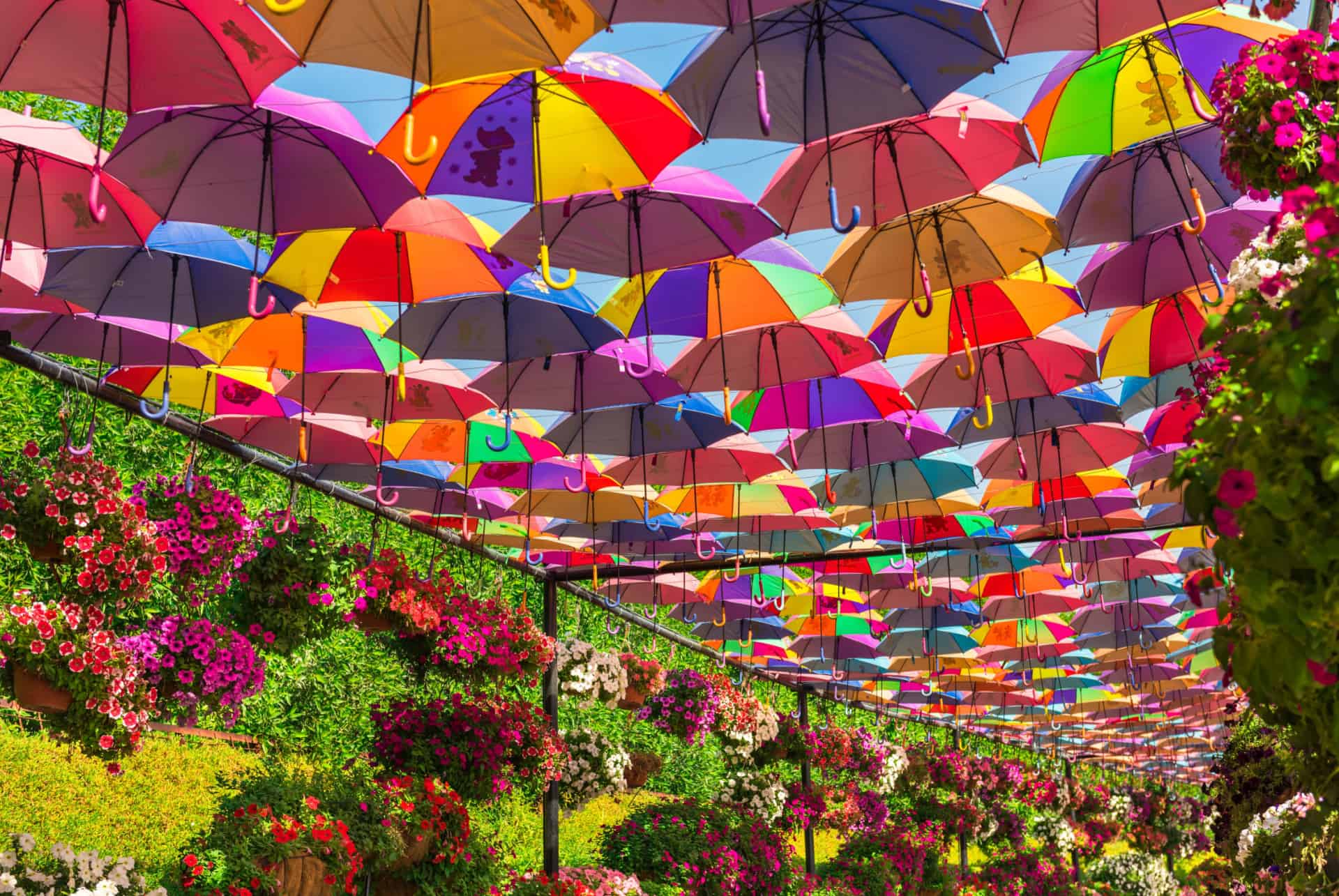 dubai garden parapluies