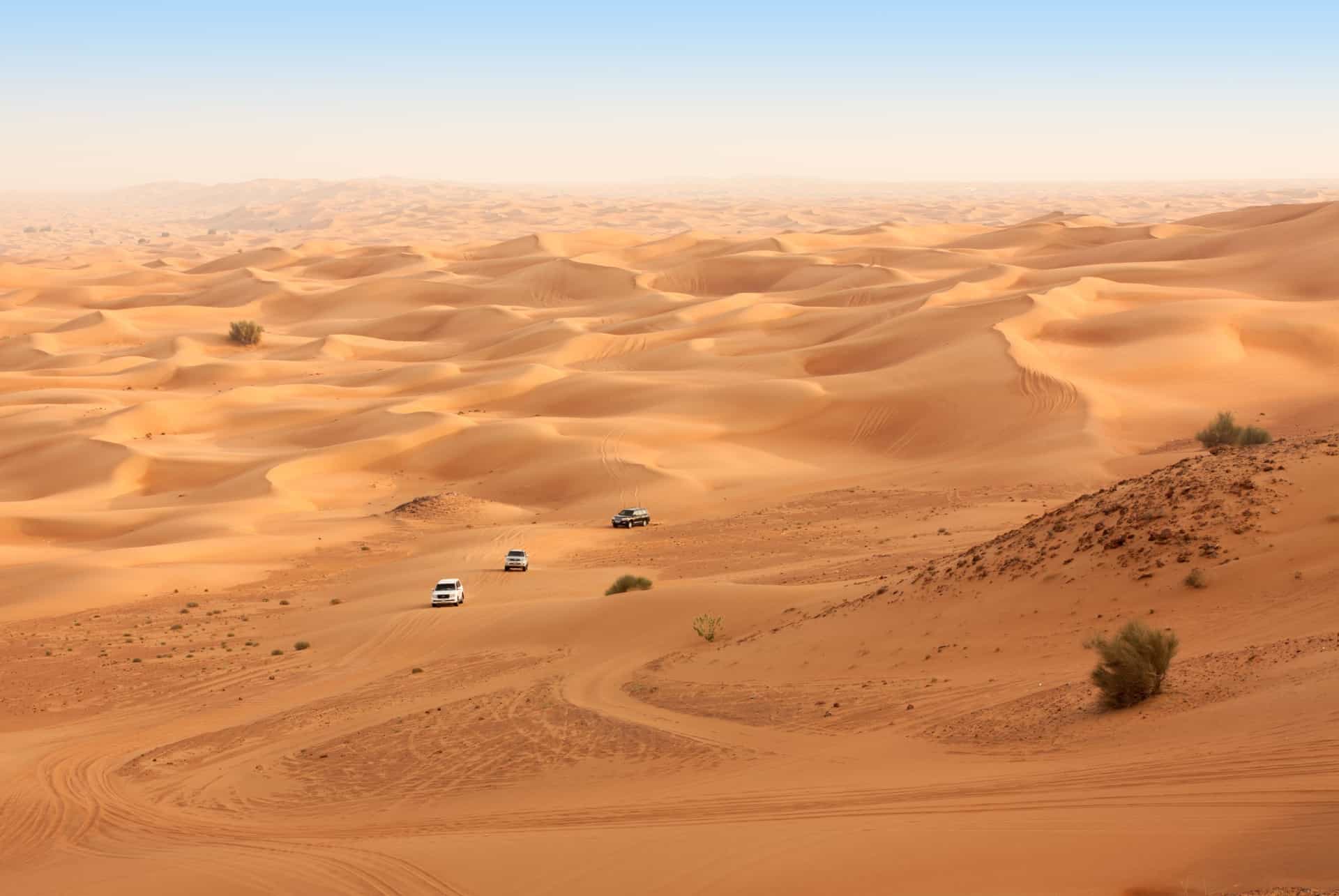 safari desert land rover