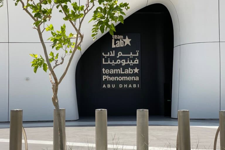Billet d'entrée au TeamLab Phenomena Abu Dhabi