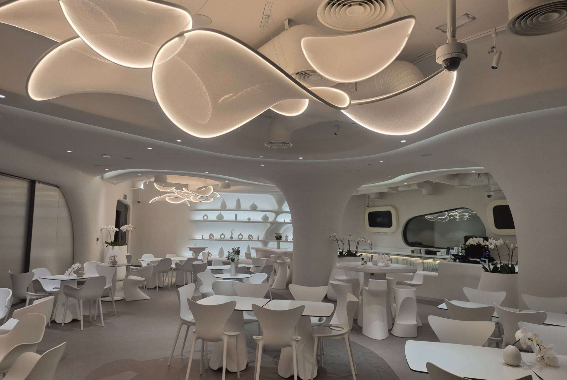 cafe teamlab phenomena abu dhabi cafe teamlab phenomena abu dhabi