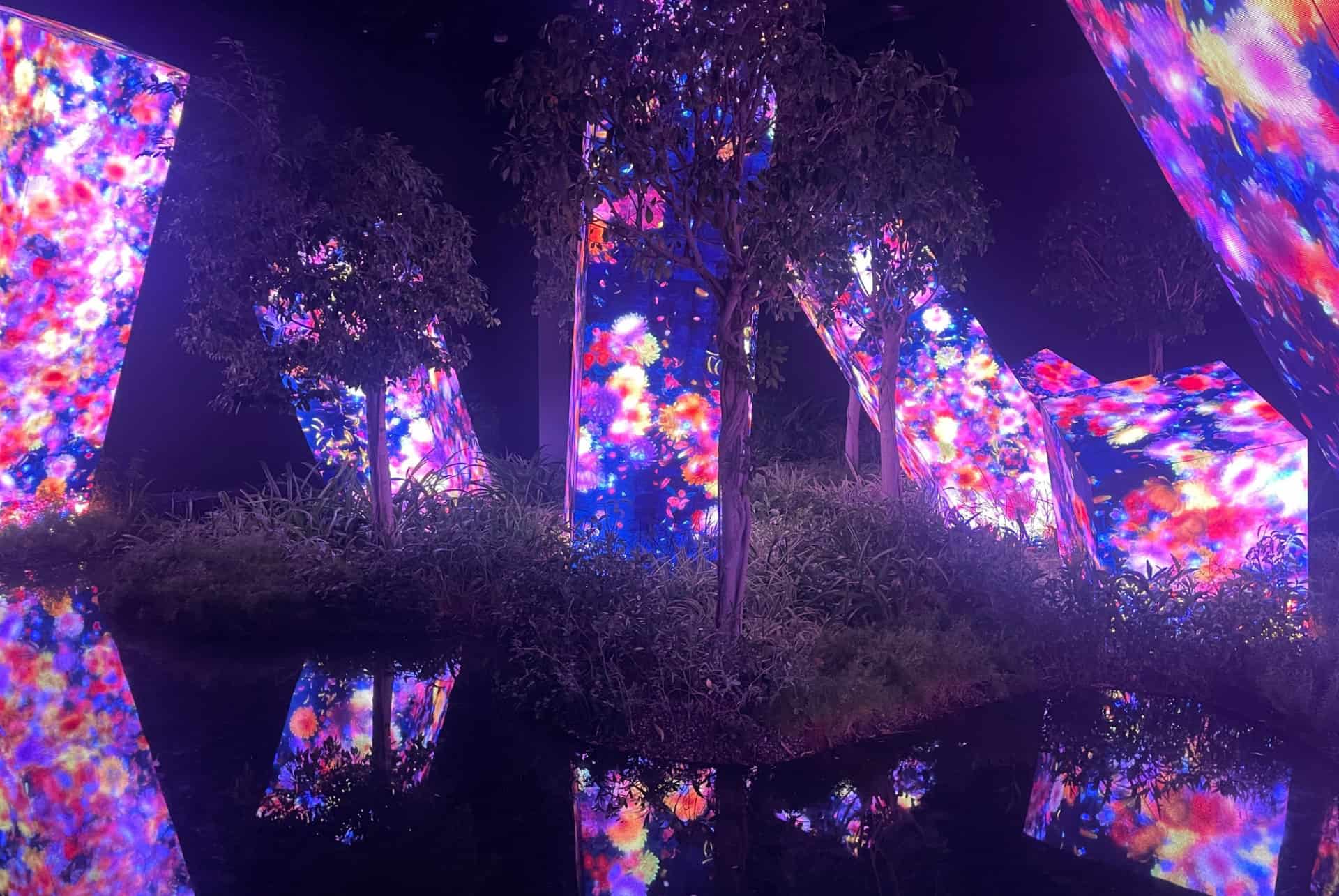 dry zone teamlab dry zone teamlab