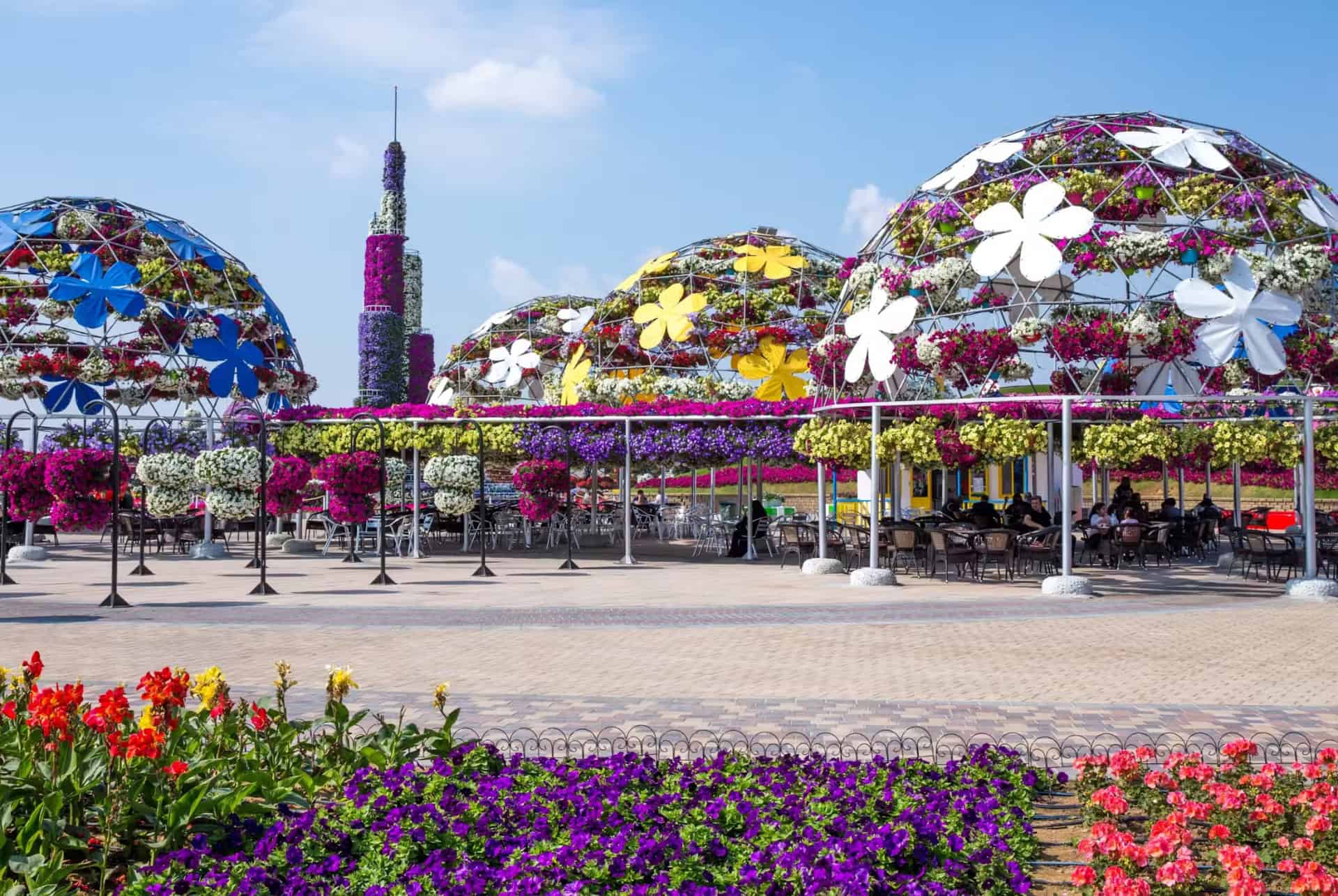 dubai miracle garden