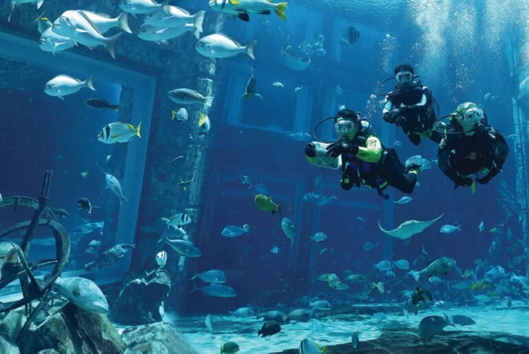 Expérience de plongée sous-marine