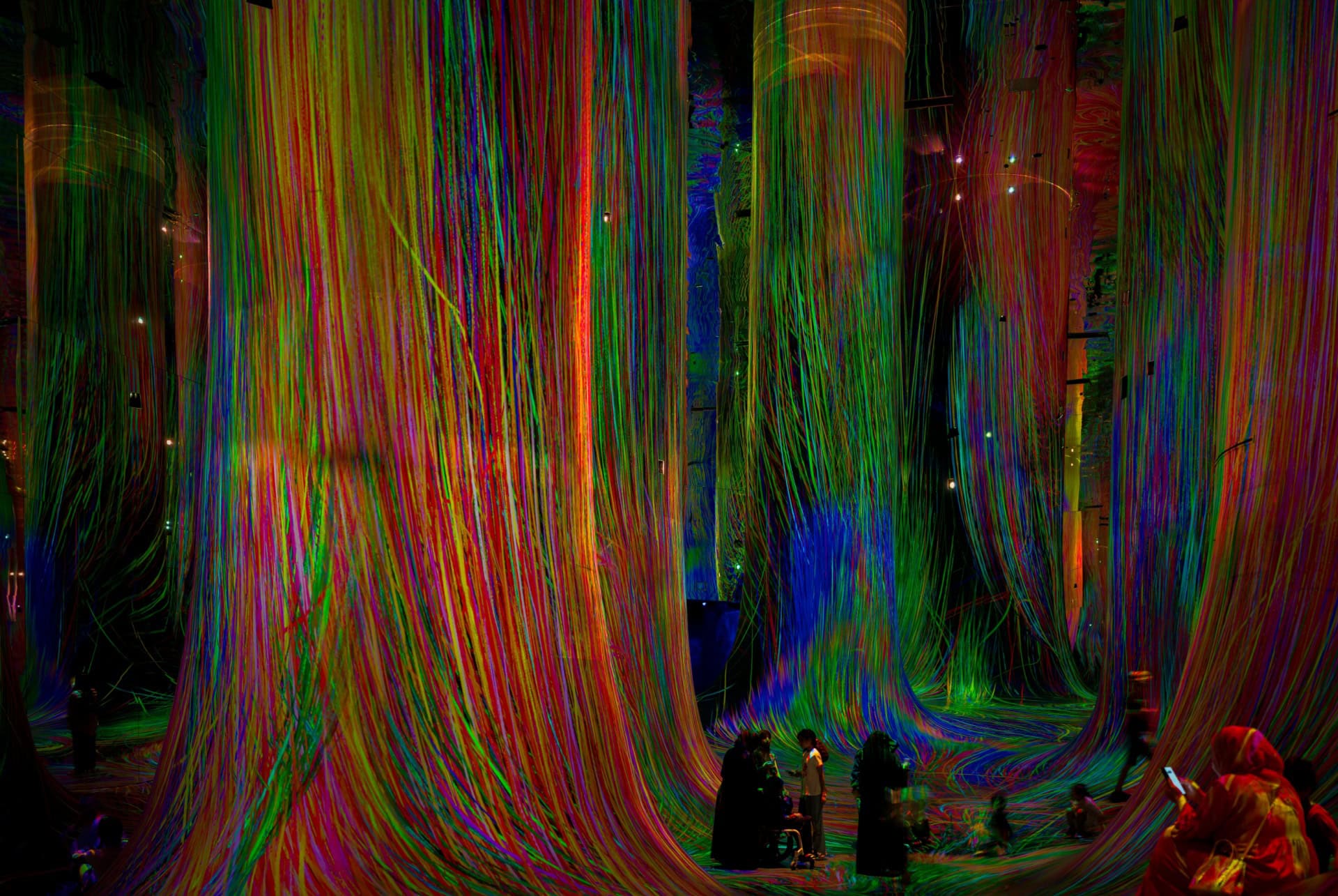 spontaneous order teamlab spontaneous order teamlab